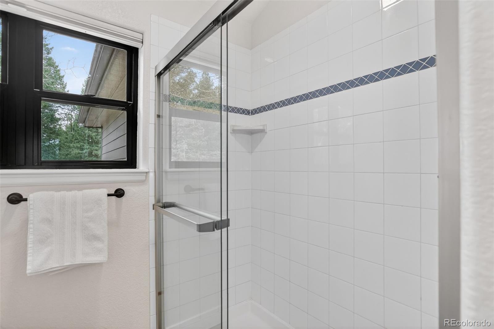 11049 Schweigert Avenue Conifer CO 80433