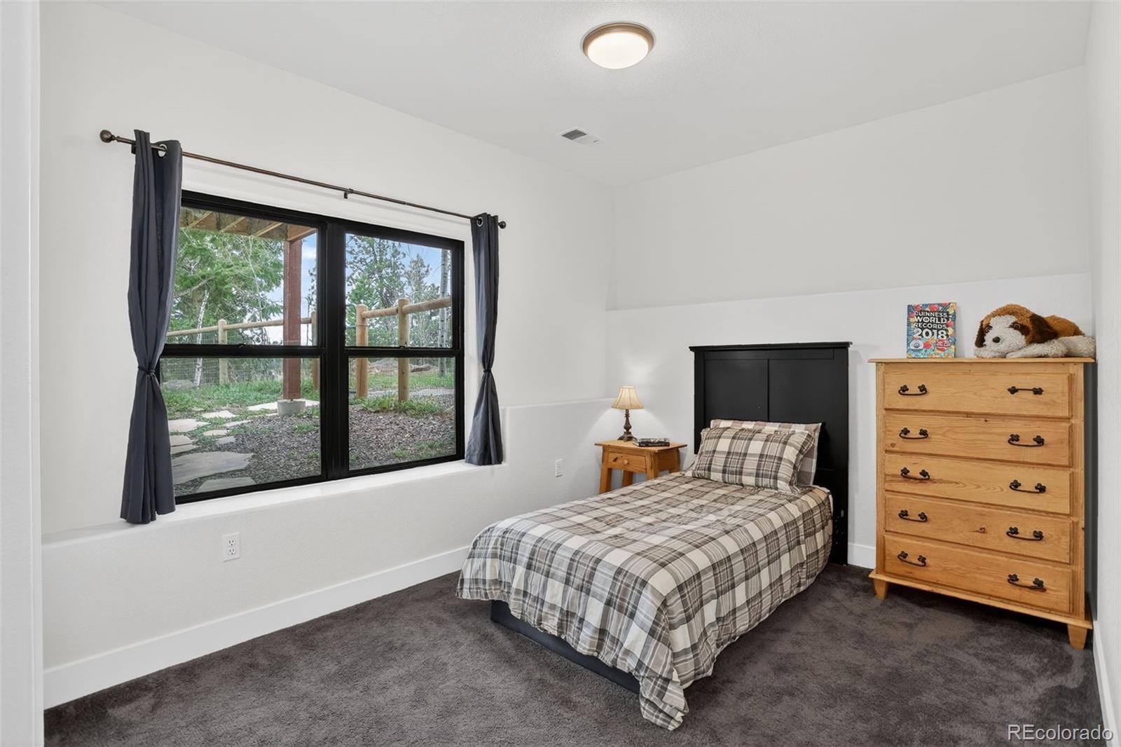 11049 Schweigert Avenue Conifer CO 80433