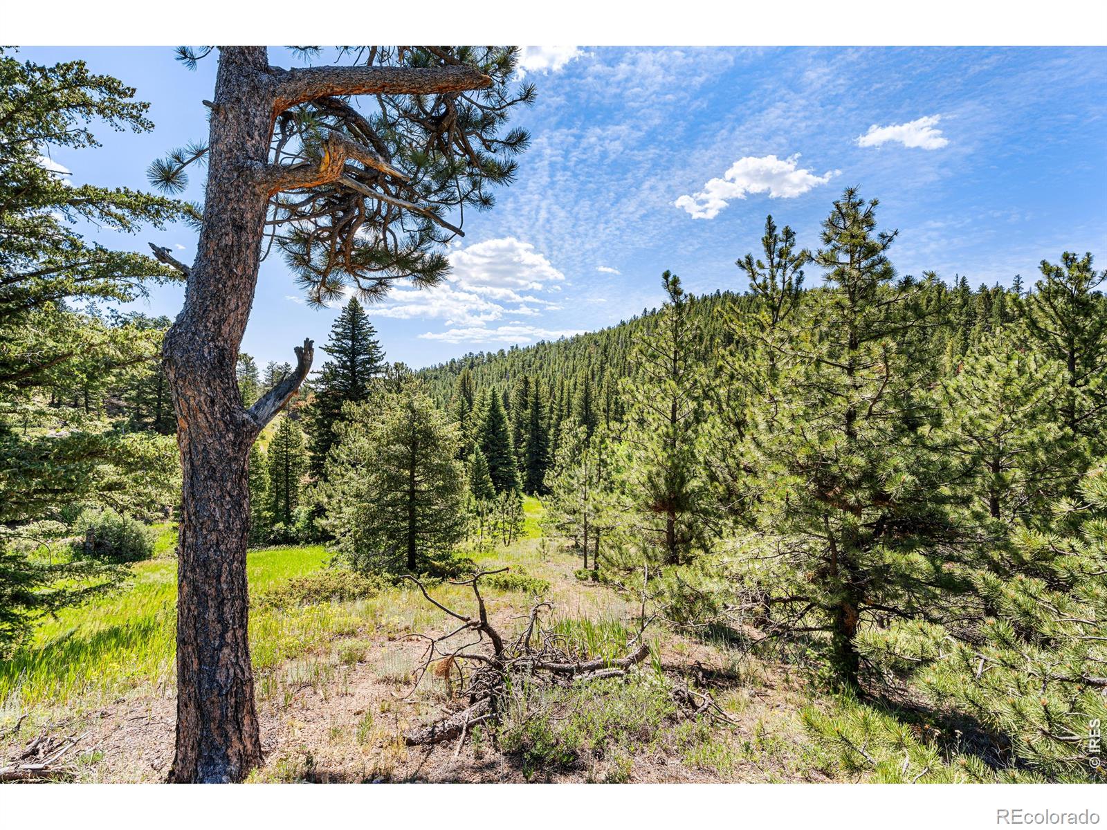 1213 Primos Road Boulder CO 80302