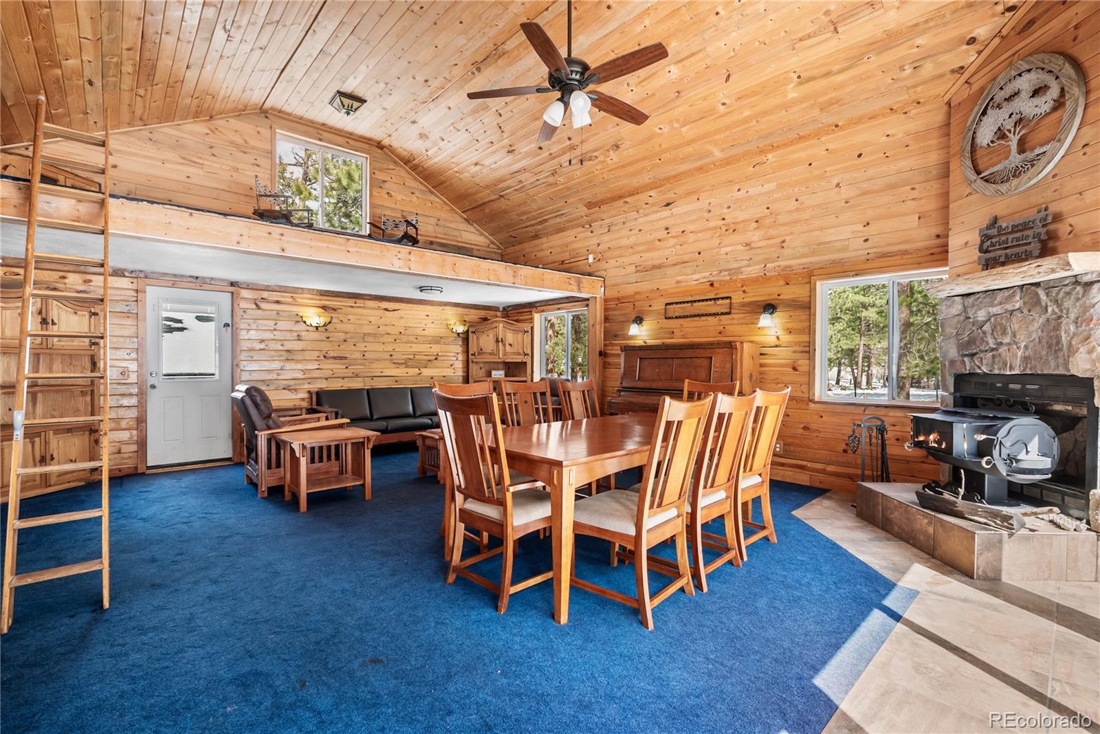 82 Iris Drive Bailey CO 80421