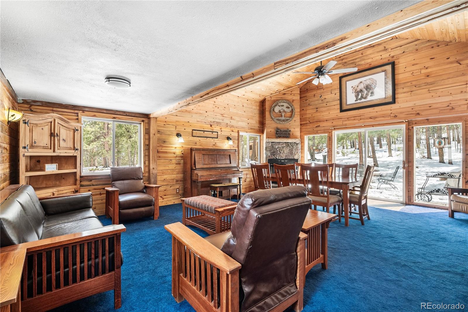 82 Iris Drive Bailey CO 80421