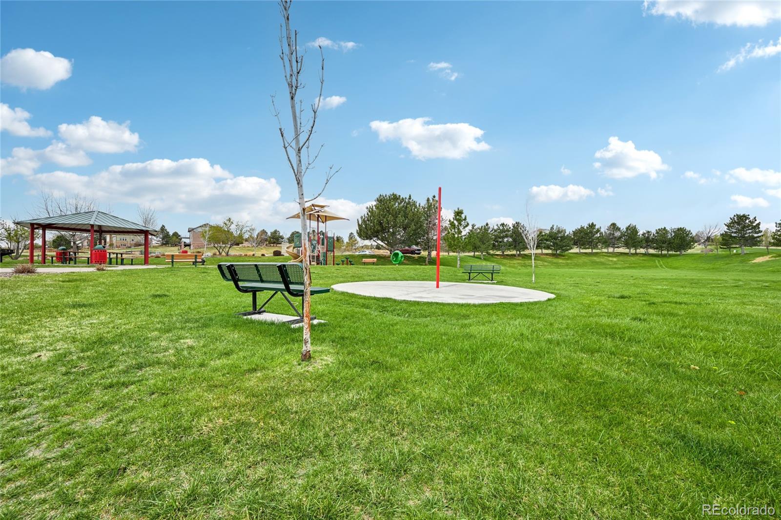 24081 E Royal Meadows Avenue Parker CO 80138