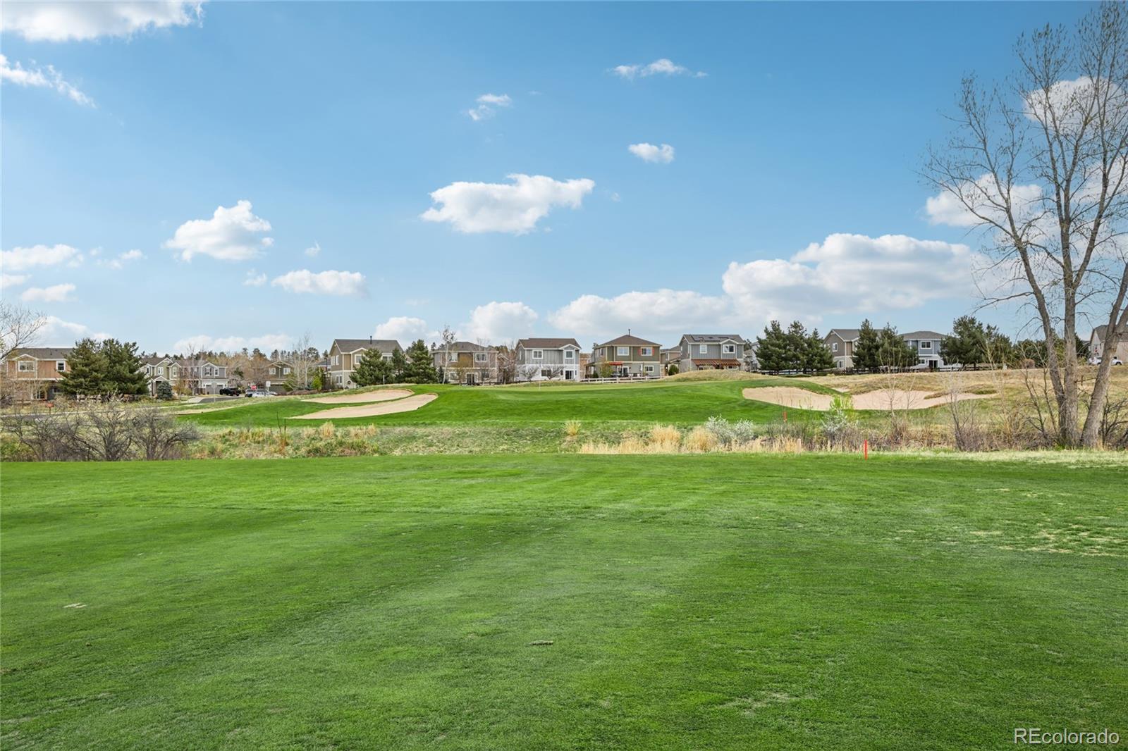 24081 E Royal Meadows Avenue Parker CO 80138