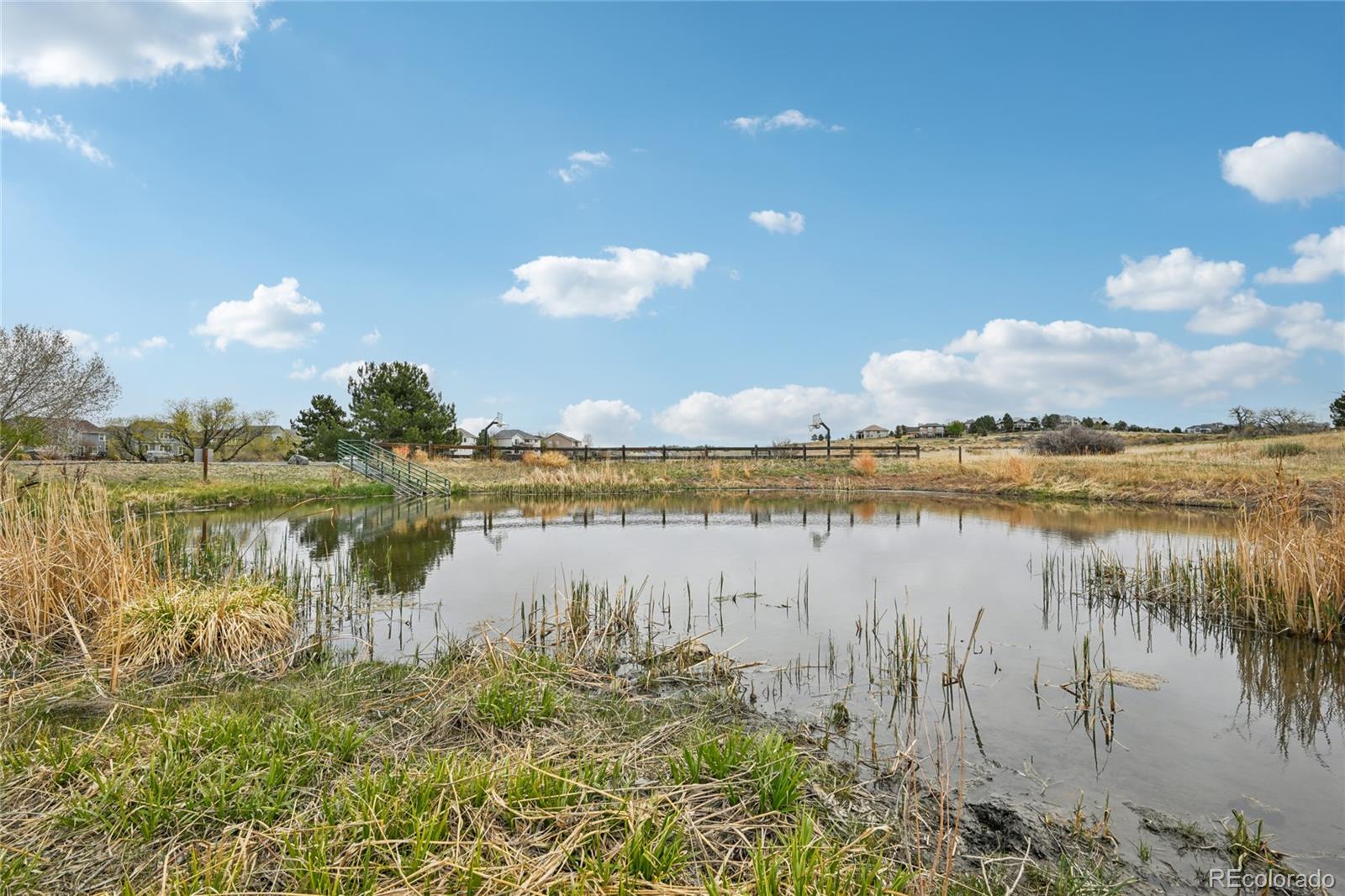 24081 E Royal Meadows Avenue Parker CO 80138