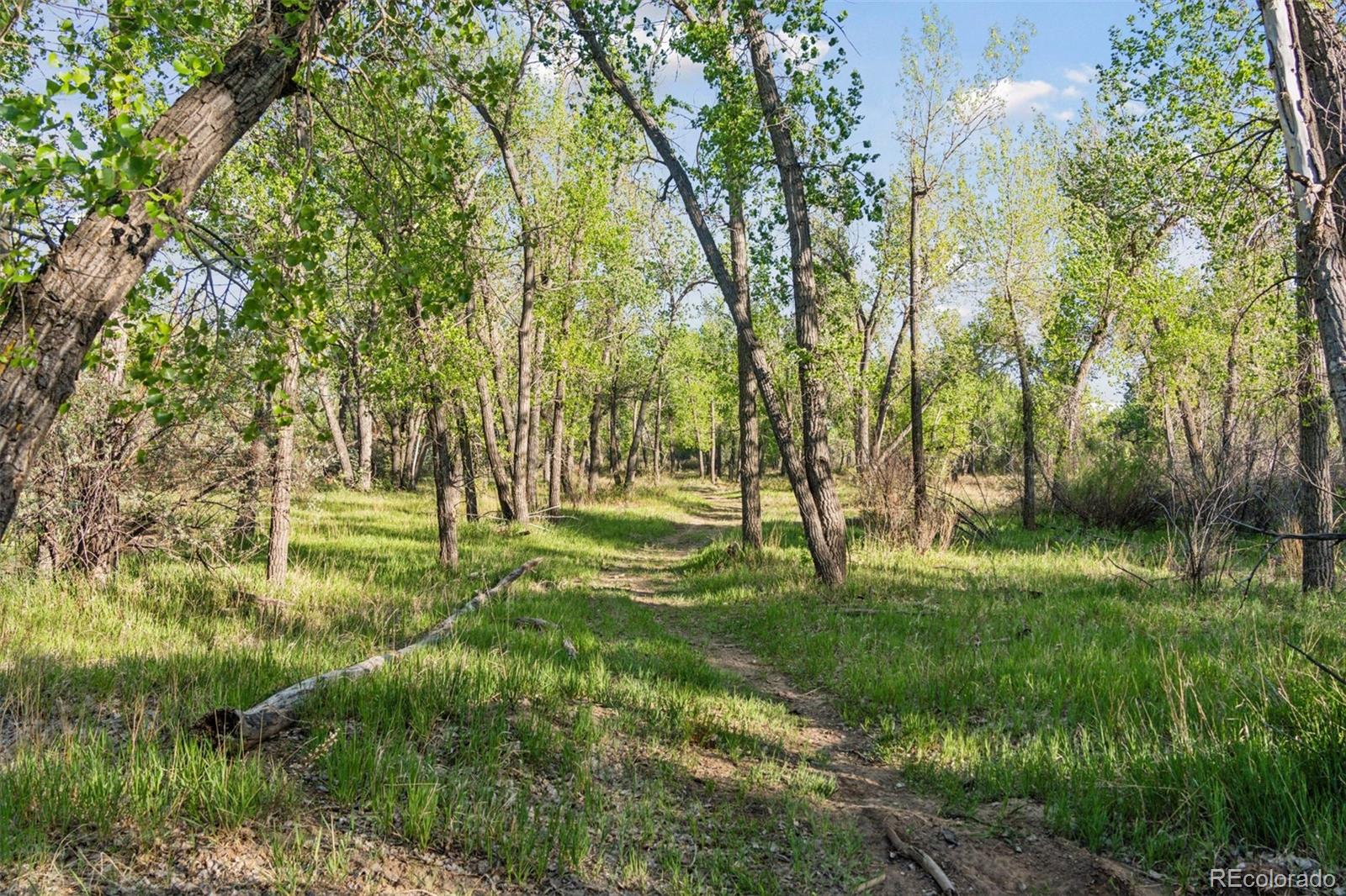 16990 Old Pueblo Road Fountain CO 80817