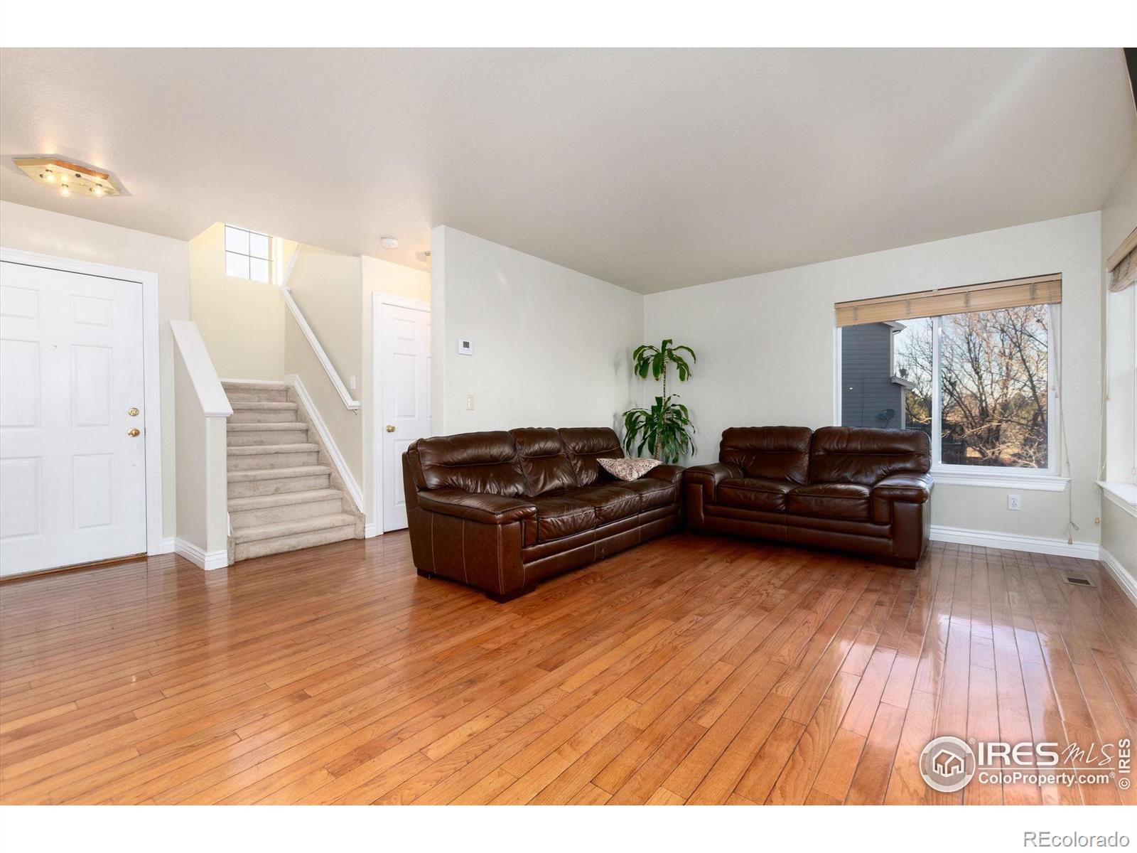 907 Sanctuary Circle Longmont CO 80504