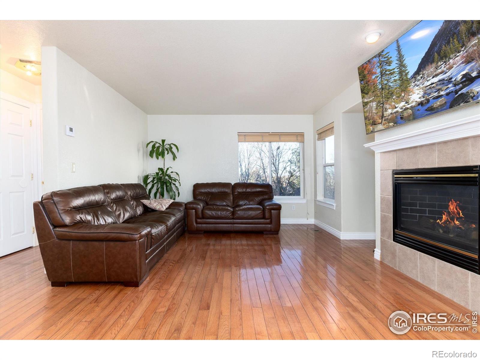 907 Sanctuary Circle Longmont CO 80504
