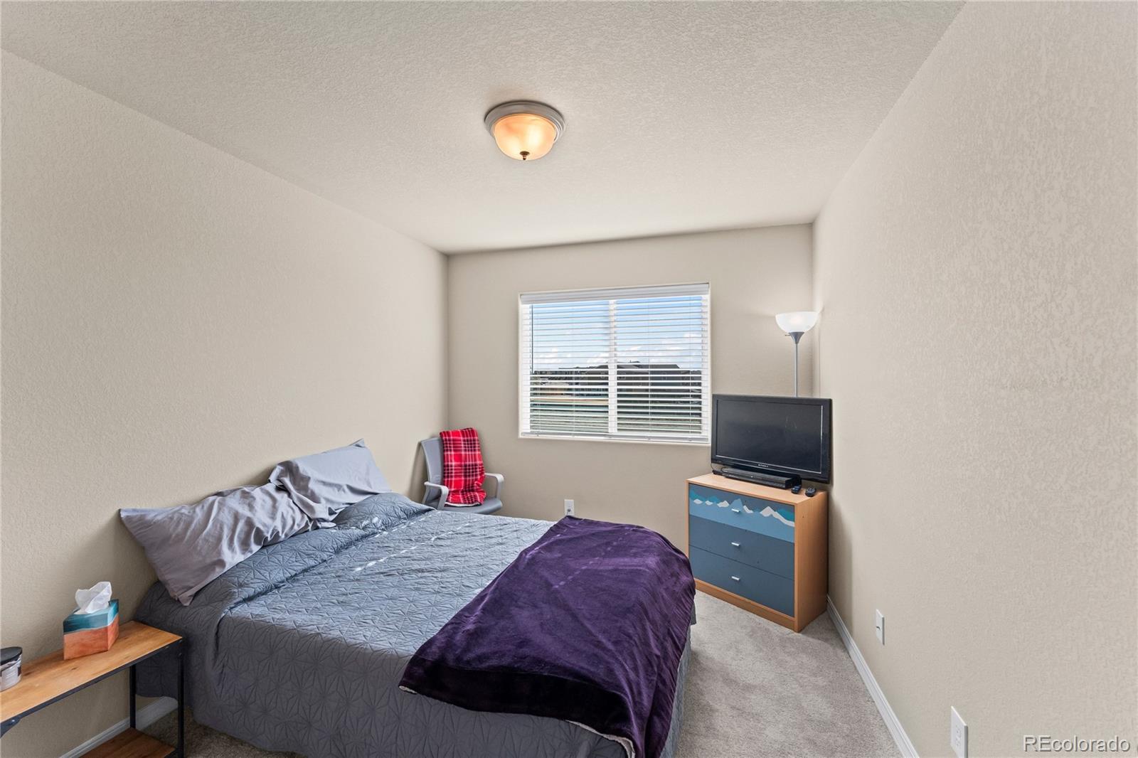 8139 Henzlee Place Peyton CO 80831
