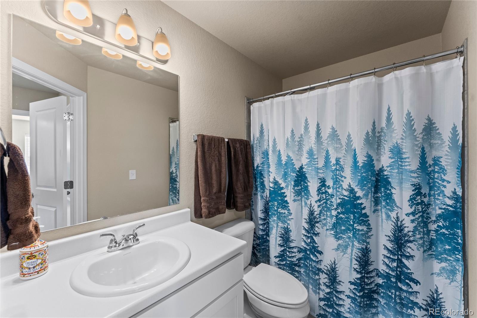 8139 Henzlee Place Peyton CO 80831
