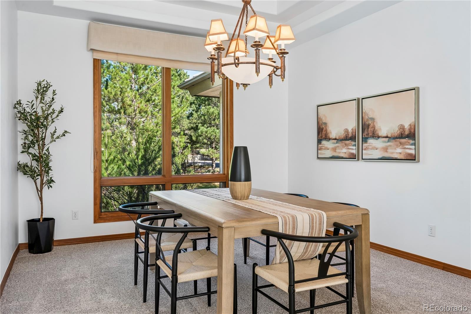 234 Lead King Drive Castle Rock CO 80108