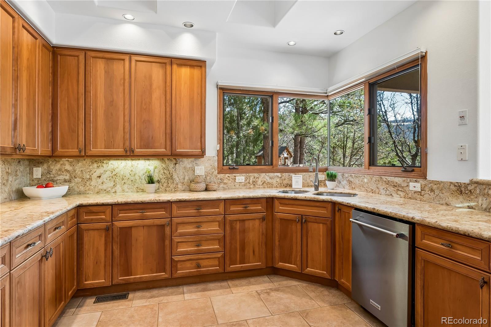 234 Lead King Drive Castle Rock CO 80108