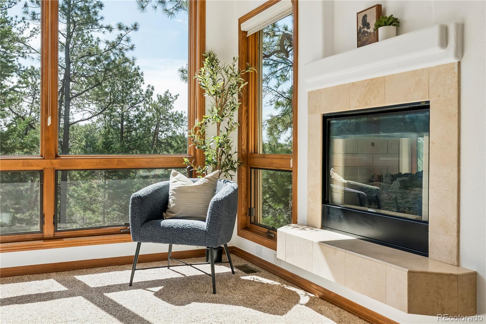234 Lead King Drive Castle Rock CO 80108