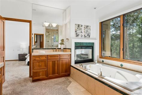 234 Lead King Drive Castle Rock CO 80108
