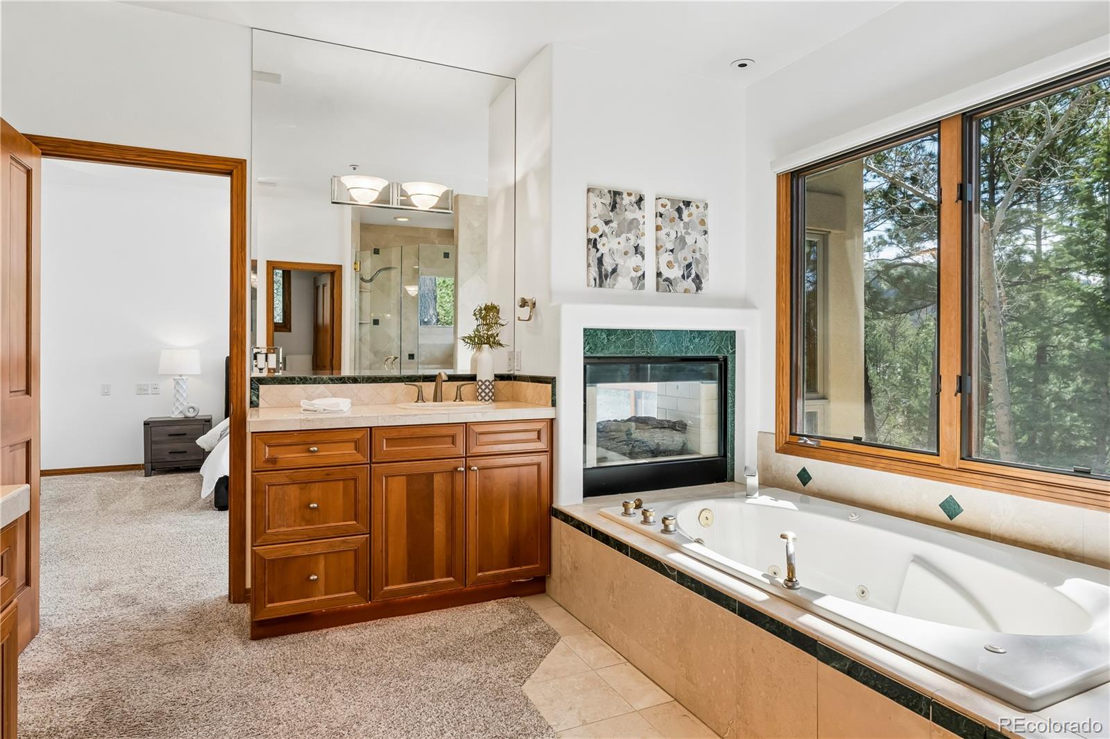 234 Lead King Drive Castle Rock CO 80108