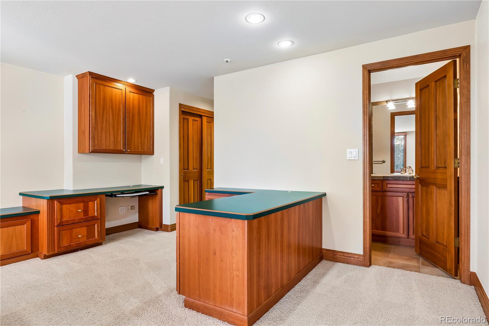 234 Lead King Drive Castle Rock CO 80108