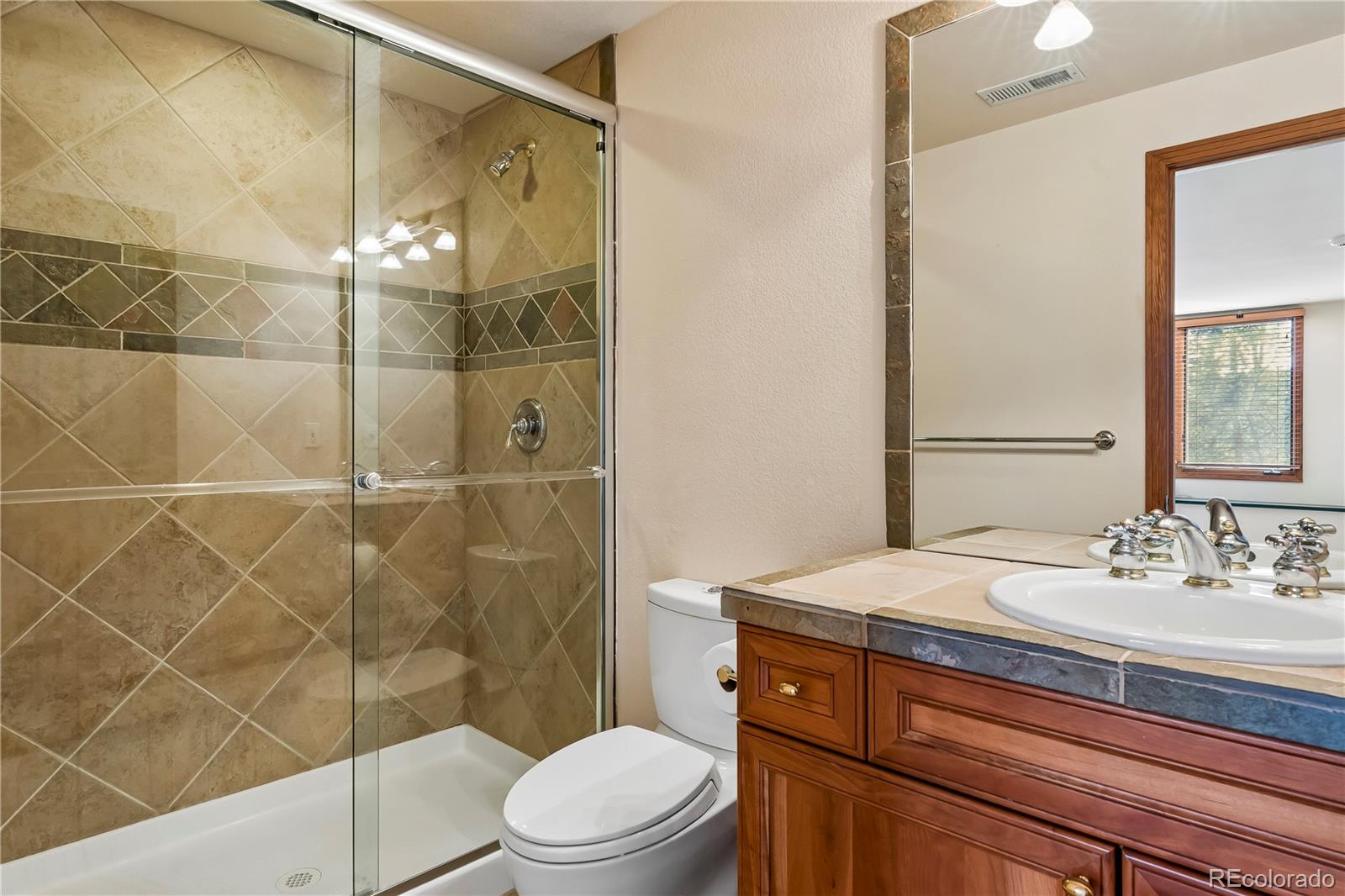 234 Lead King Drive Castle Rock CO 80108