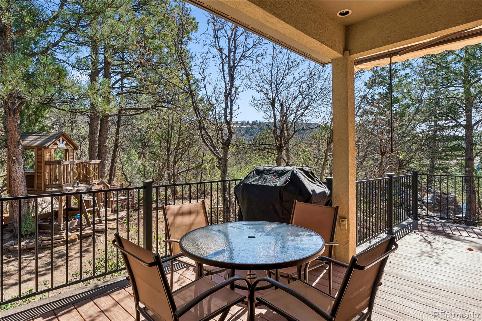 234 Lead King Drive Castle Rock CO 80108