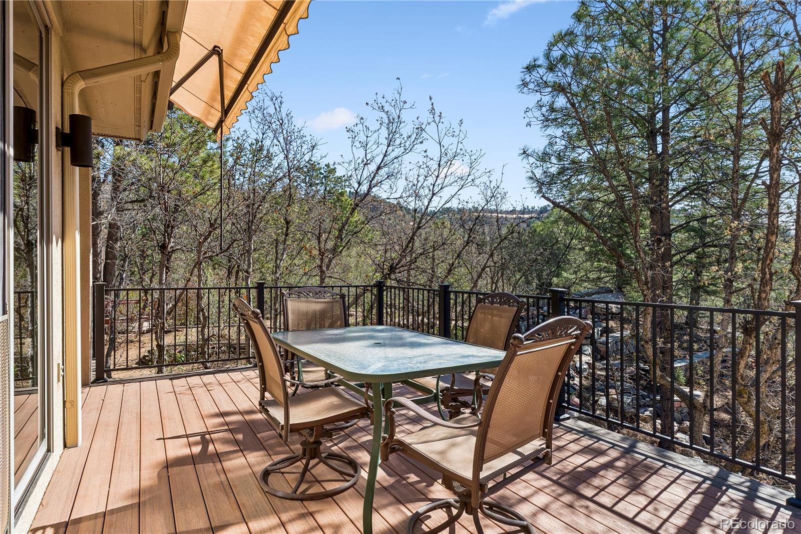 234 Lead King Drive Castle Rock CO 80108