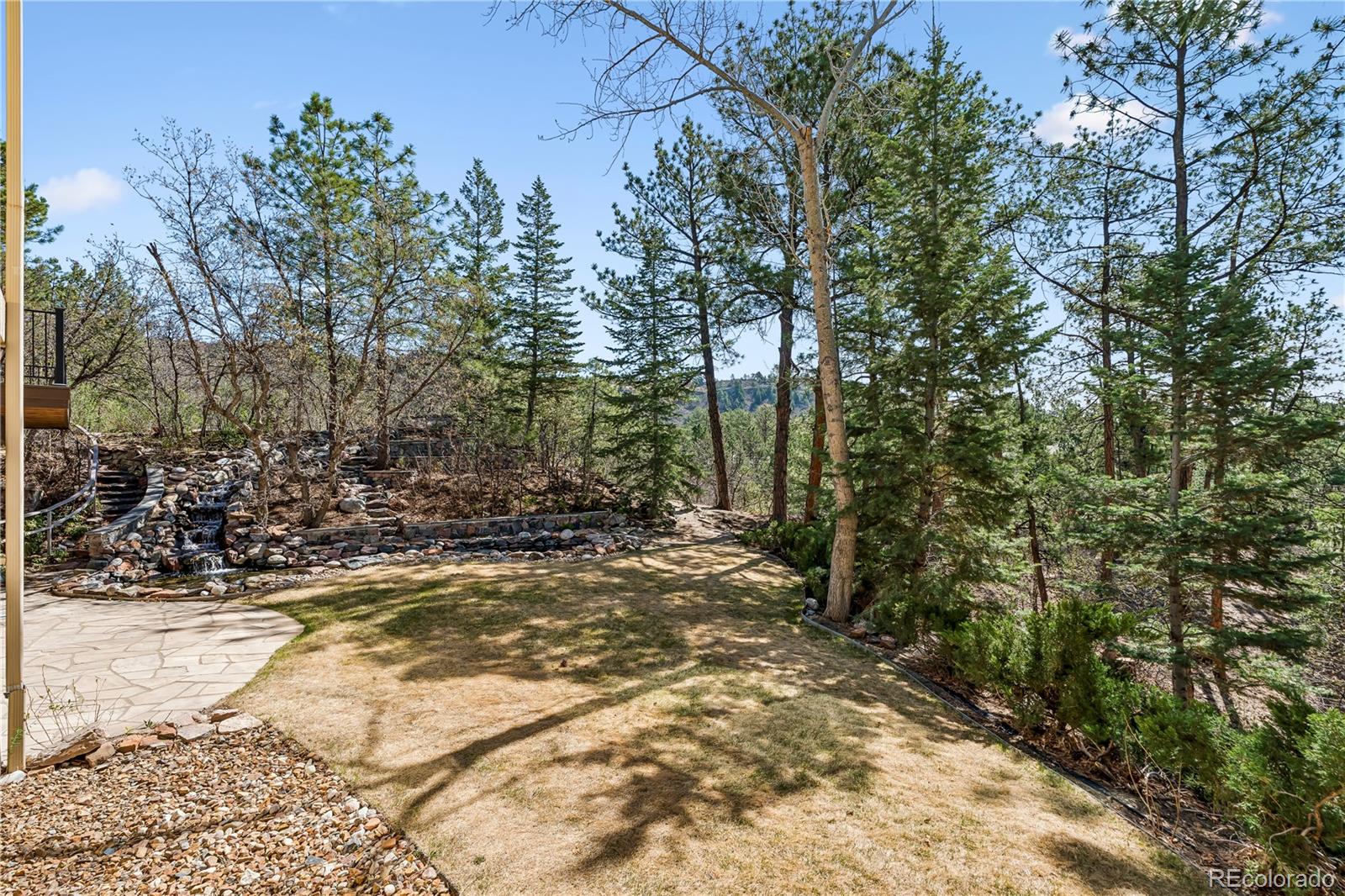234 Lead King Drive Castle Rock CO 80108