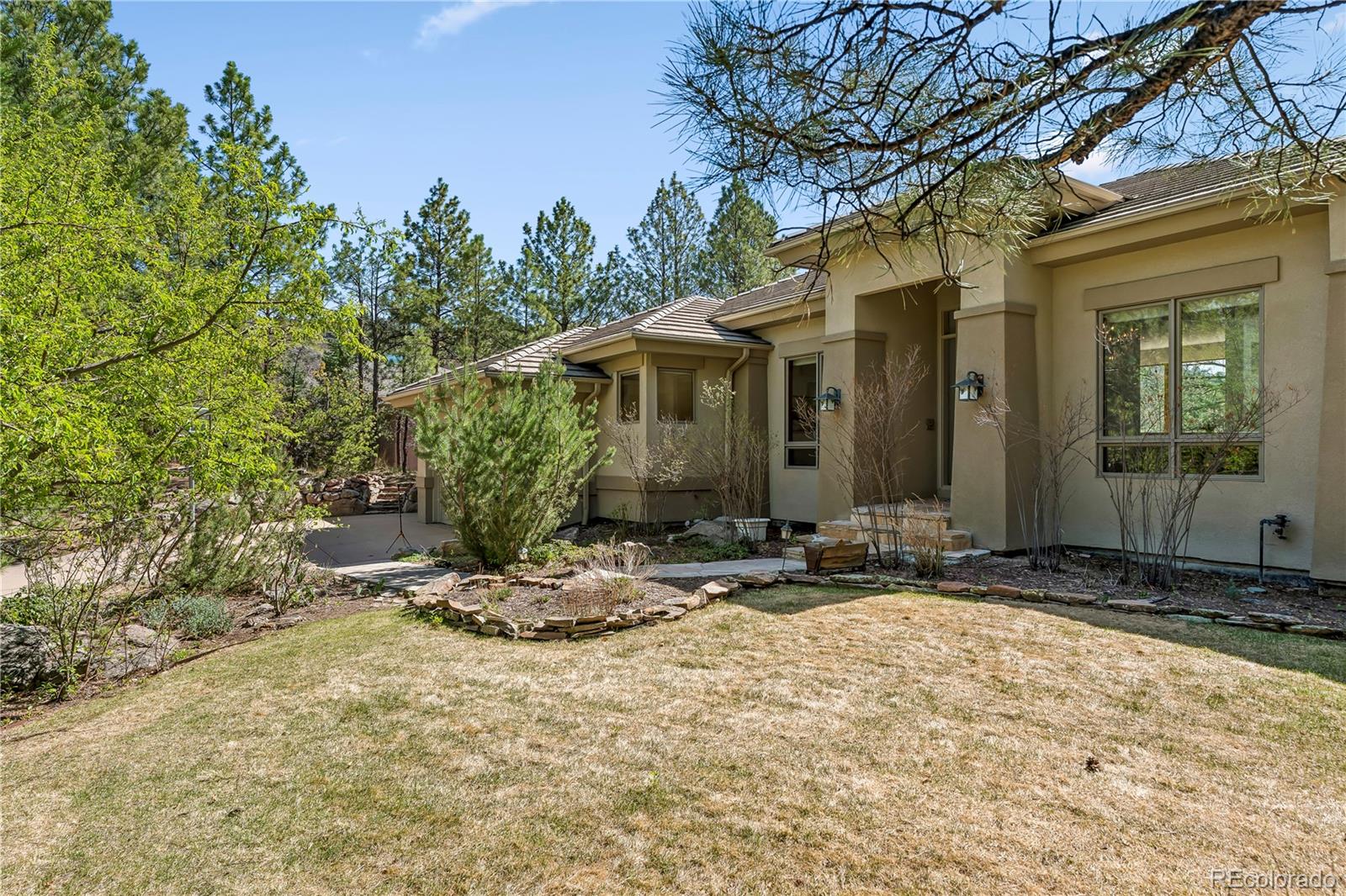 234 Lead King Drive Castle Rock CO 80108