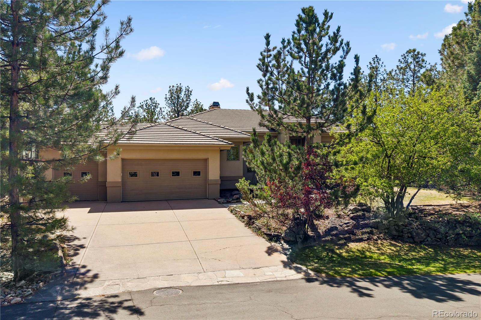 234 Lead King Drive Castle Rock CO 80108