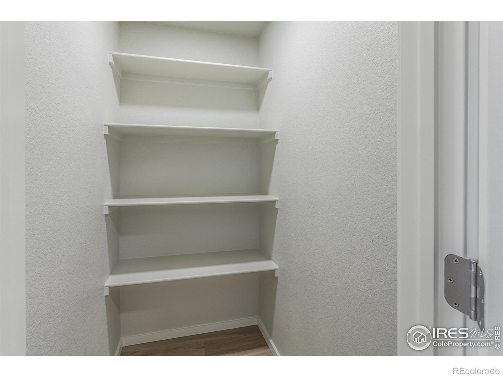 6116 Dutch Drive Timnath CO 80547