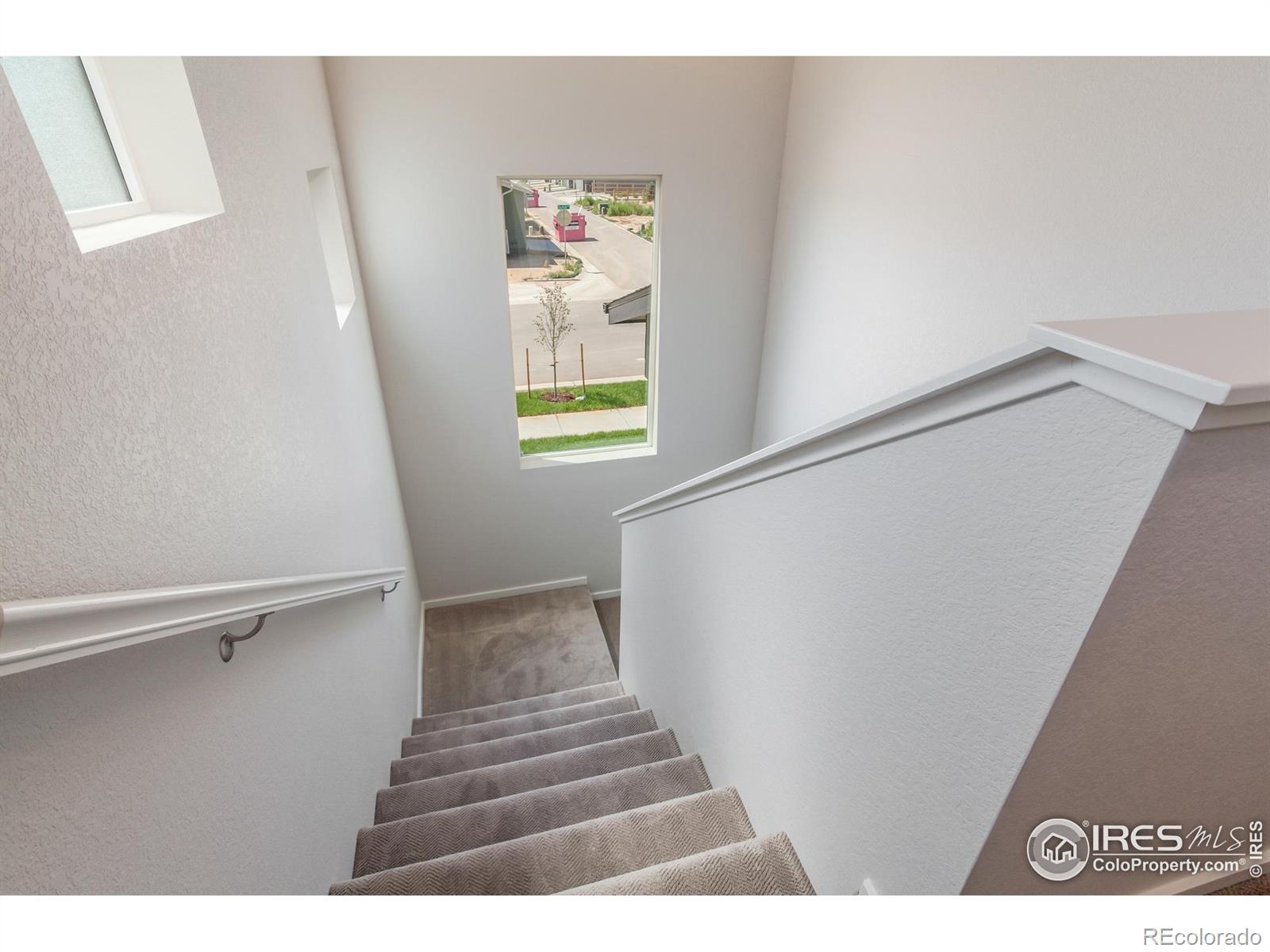 6116 Dutch Drive Timnath CO 80547