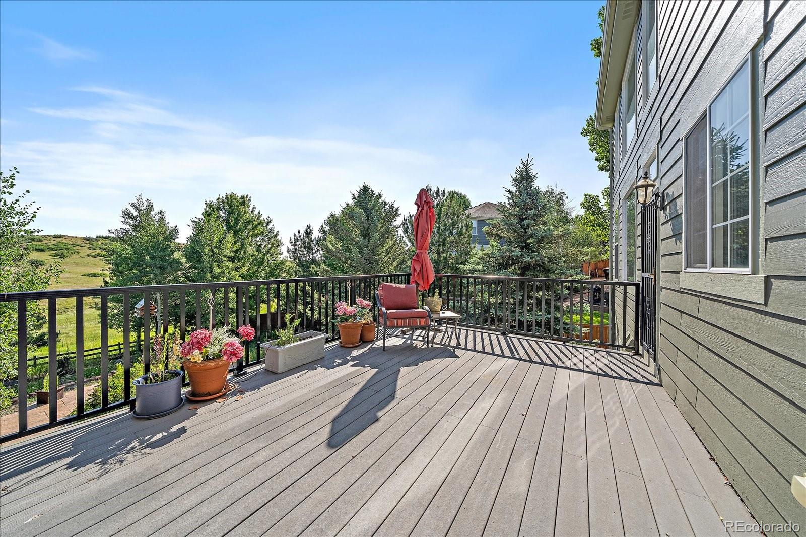 1563 Baguette Drive Castle Rock CO 80108
