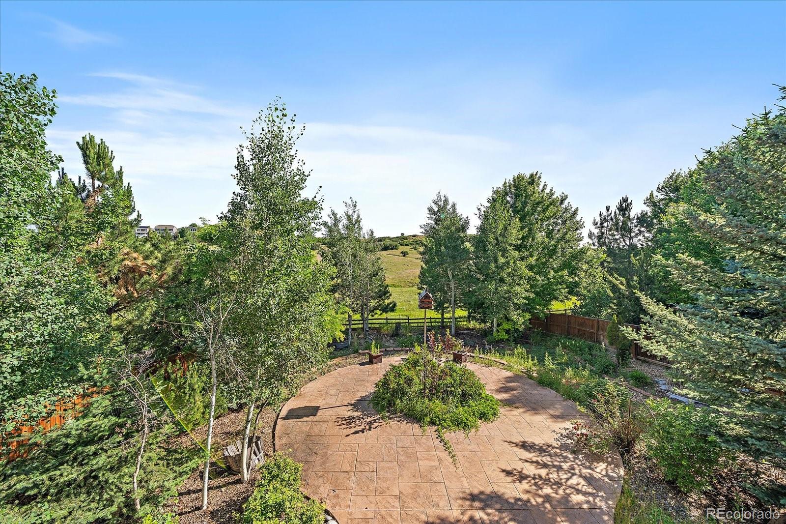 1563 Baguette Drive Castle Rock CO 80108