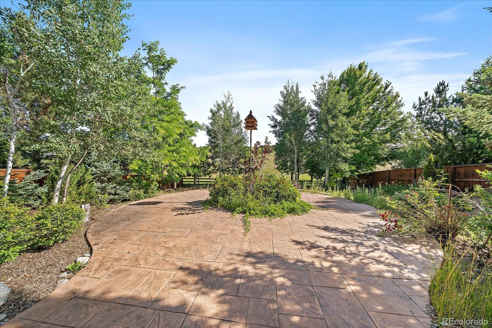 1563 Baguette Drive Castle Rock CO 80108