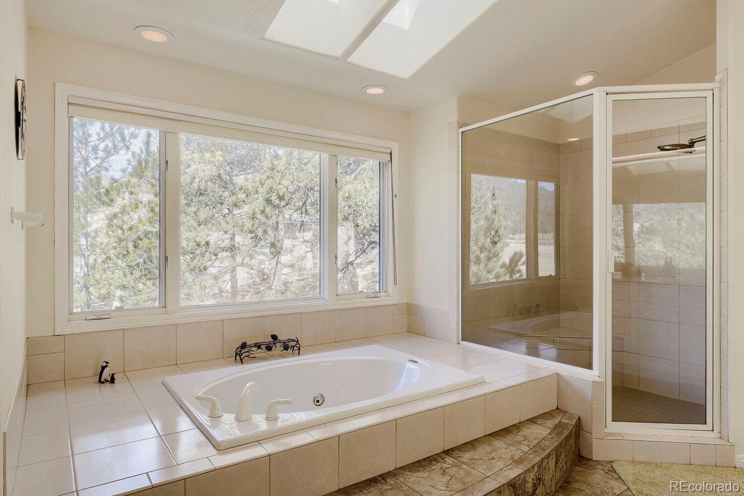 32680 El Diente Court Evergreen CO 80439