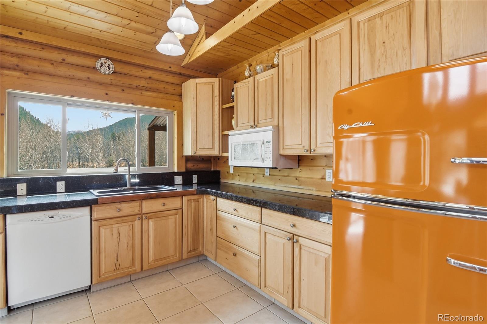 188 E Clear Creek Drive Empire CO 80438