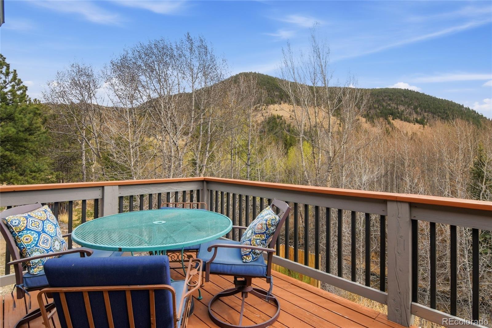 188 E Clear Creek Drive Empire CO 80438