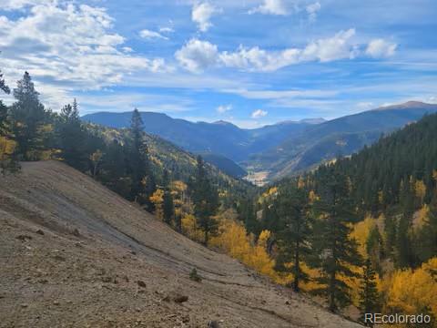188 E Clear Creek Drive Empire CO 80438