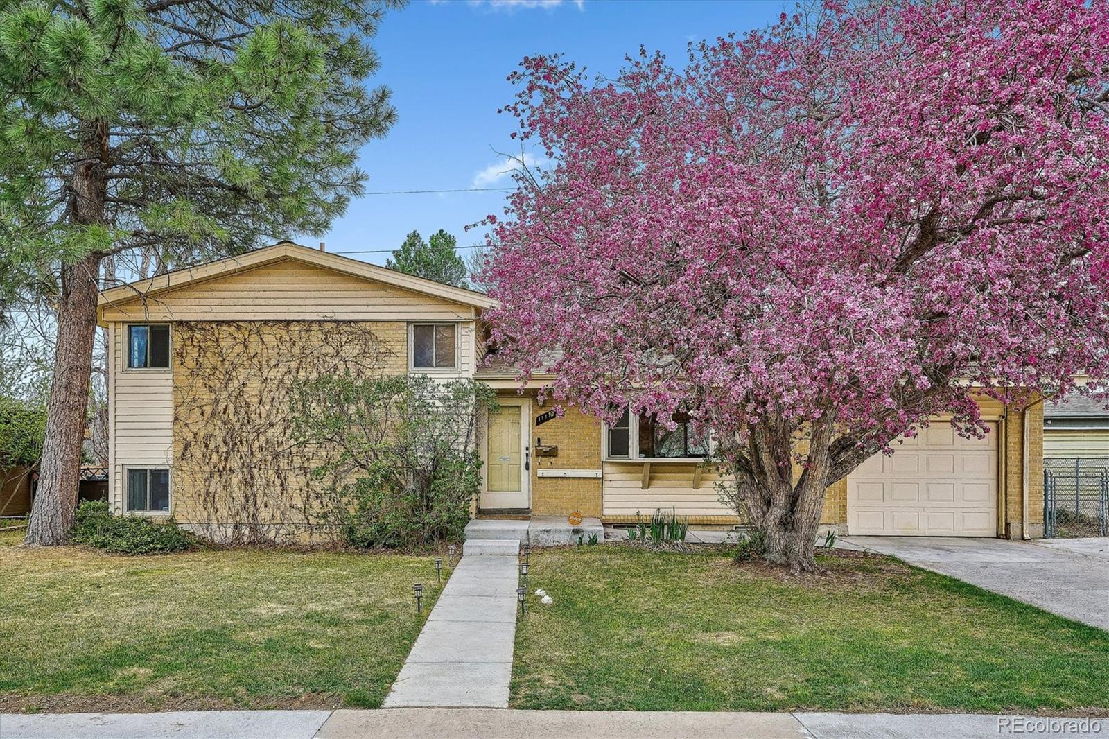 11110 W 60th Avenue Arvada CO 80004