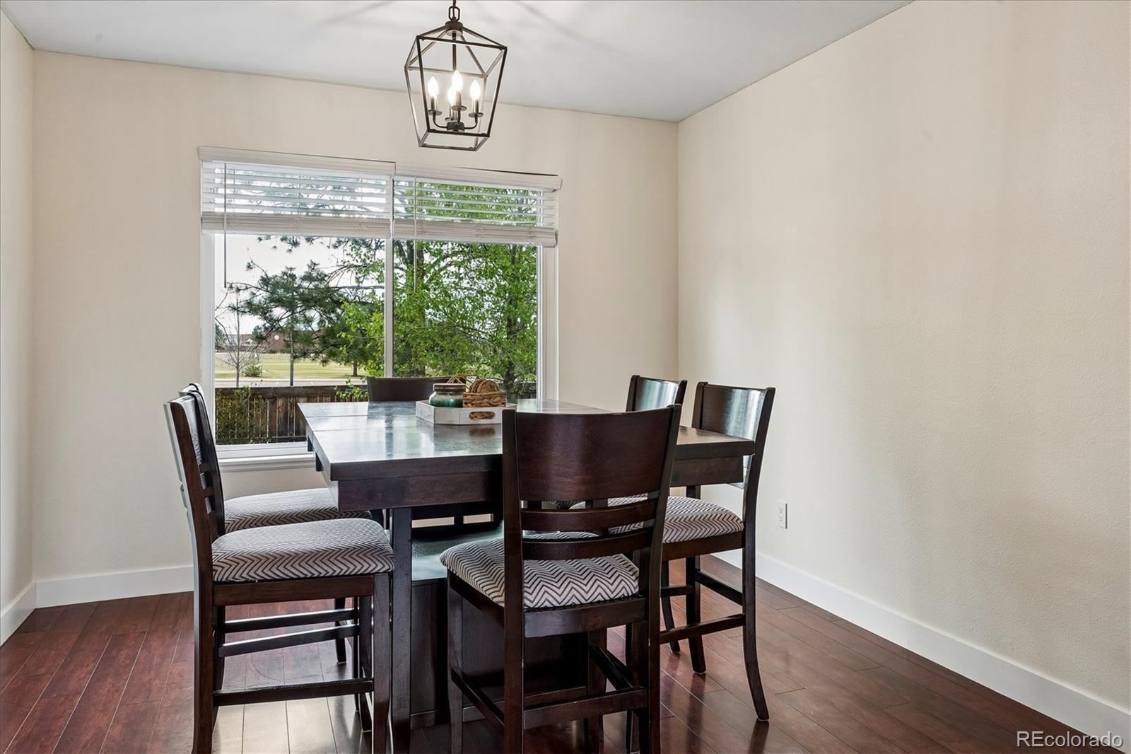 4975 E Ashton Avenue Castle Rock CO 80104