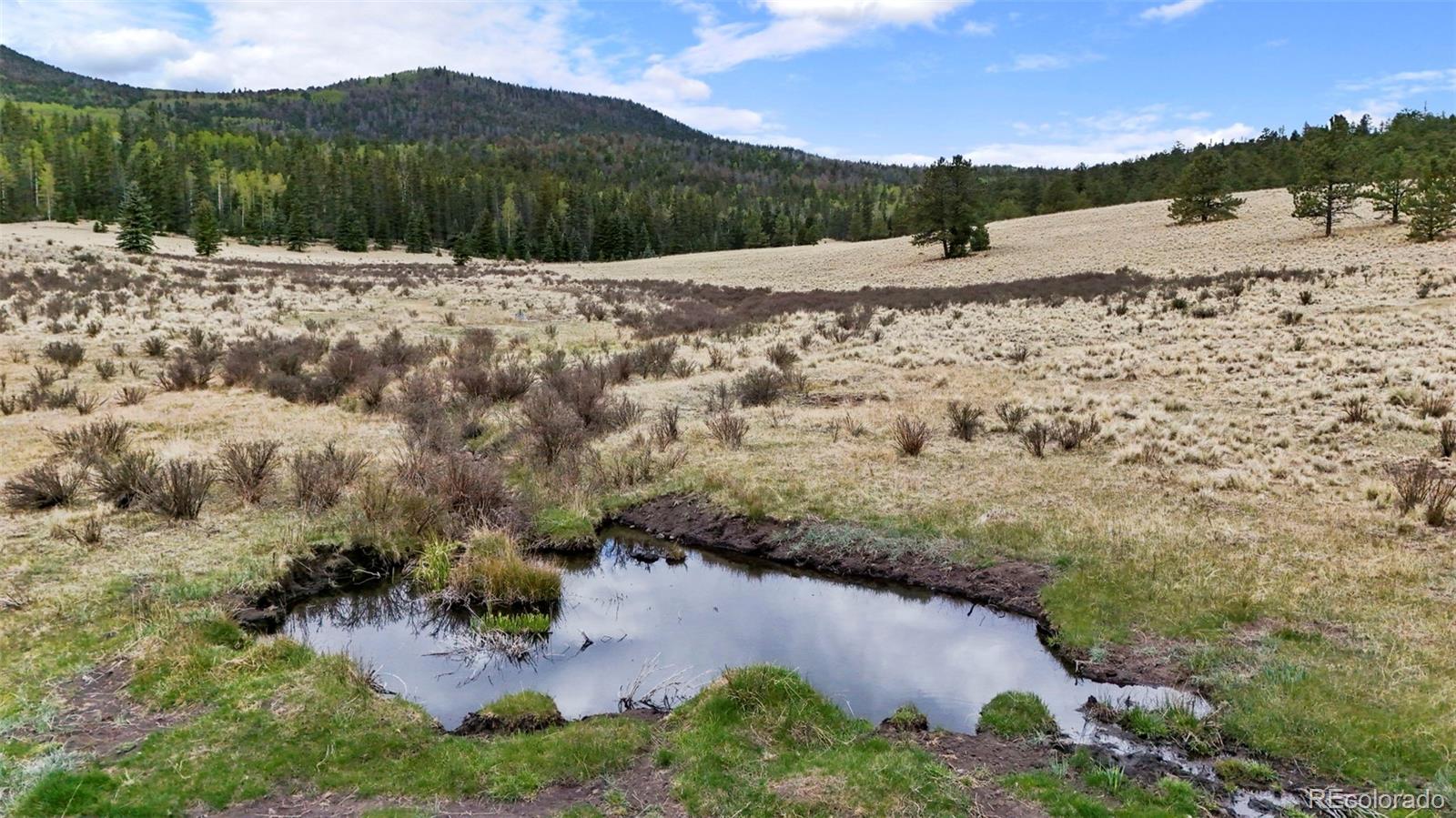 10801 County Road M-32 Del Norte CO 81132