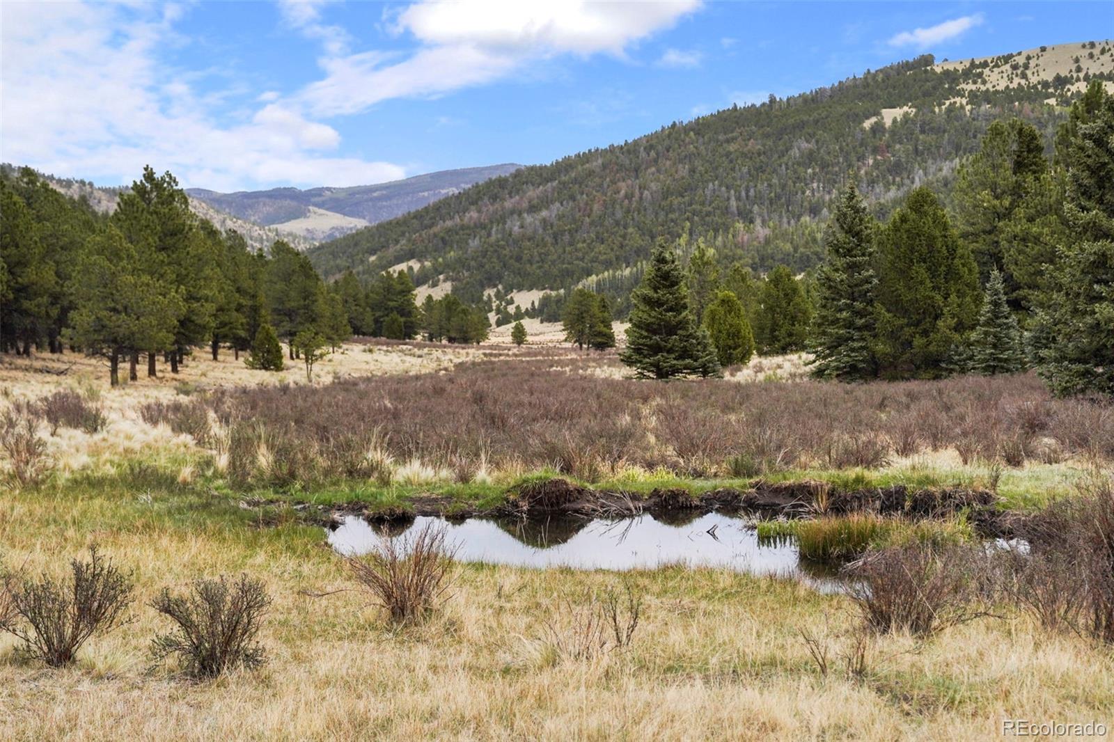 10801 County Road M-32 Del Norte CO 81132