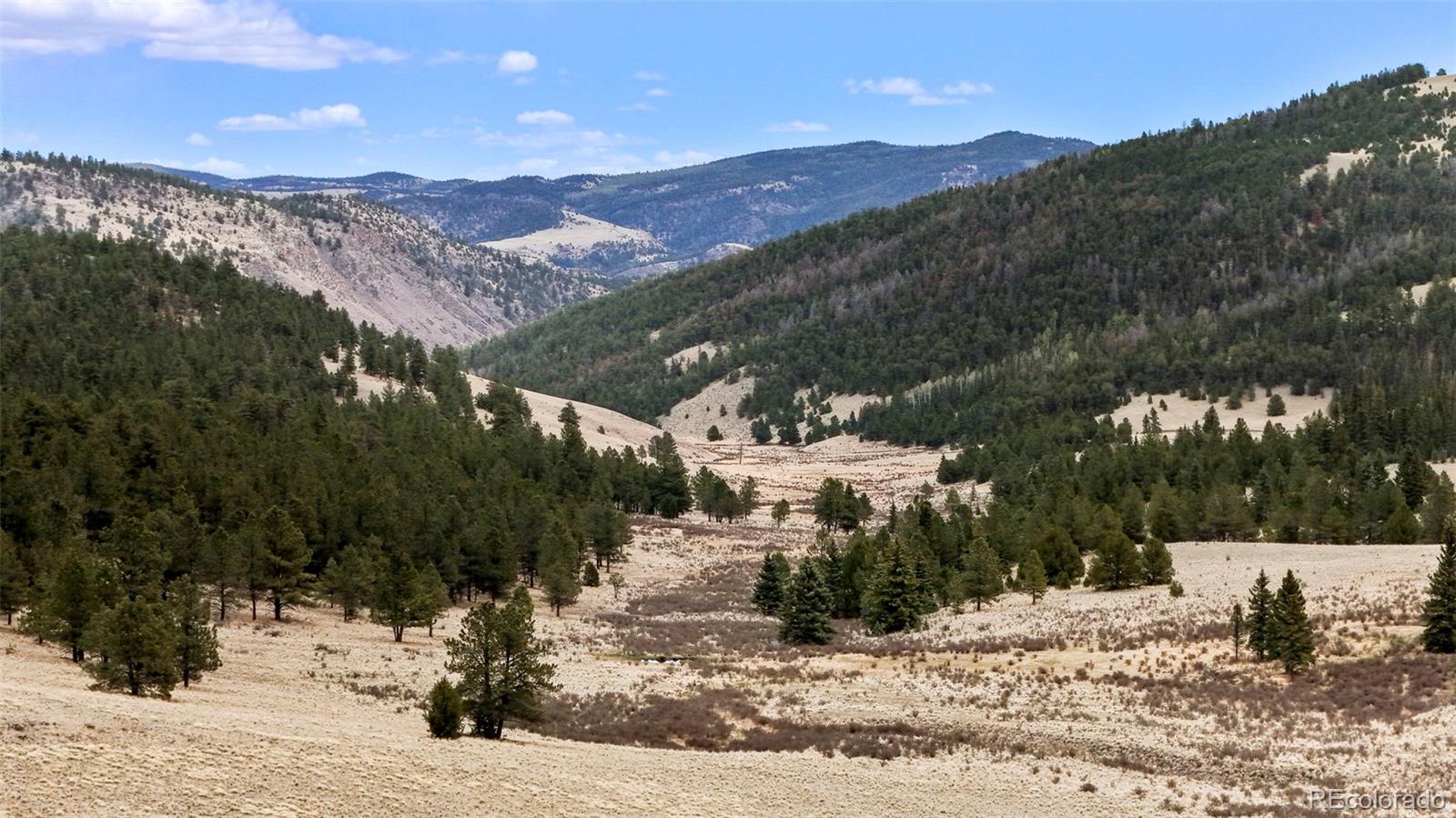 10801 County Road M-32 Del Norte CO 81132