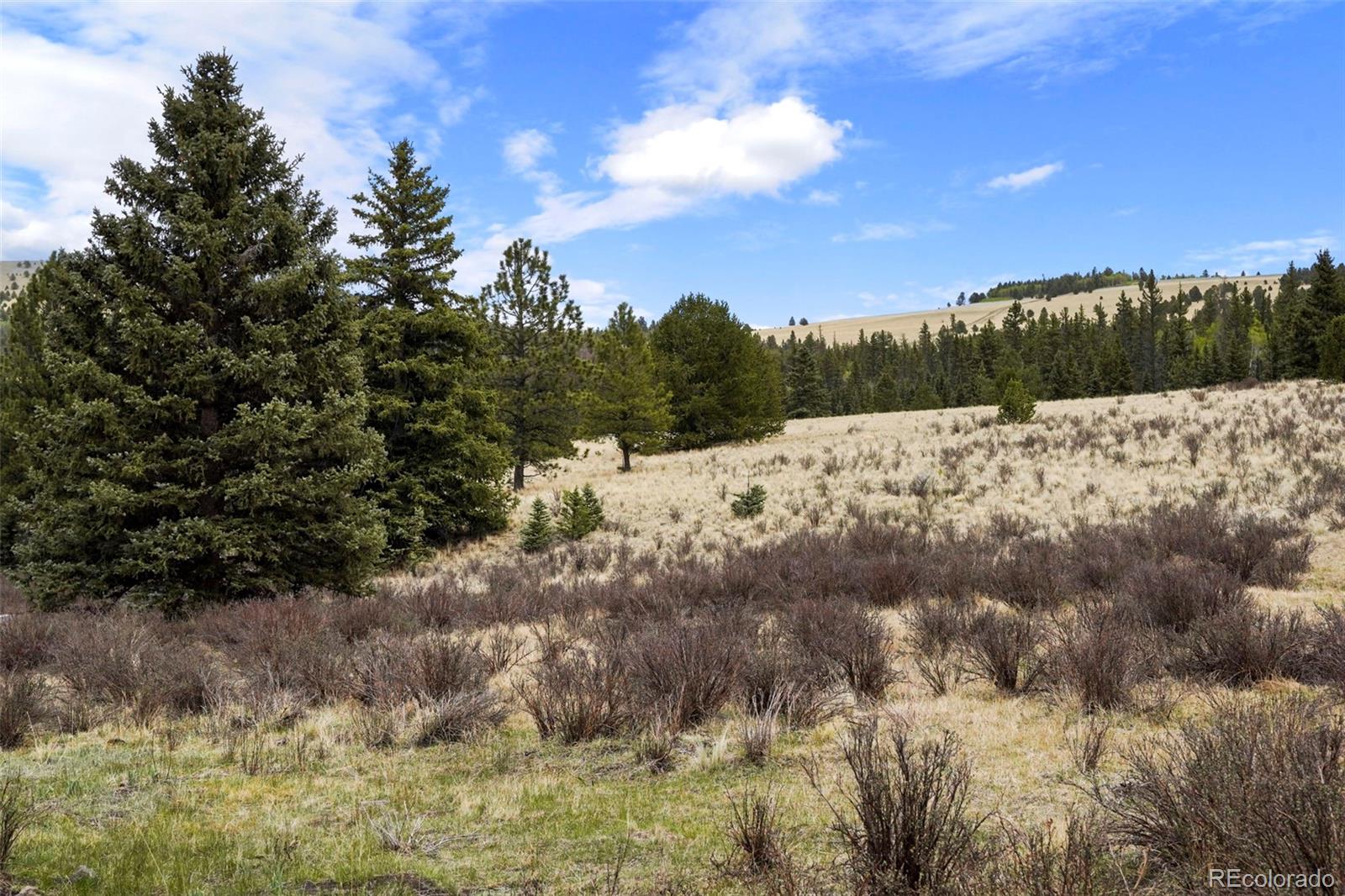 10801 County Road M-32 Del Norte CO 81132