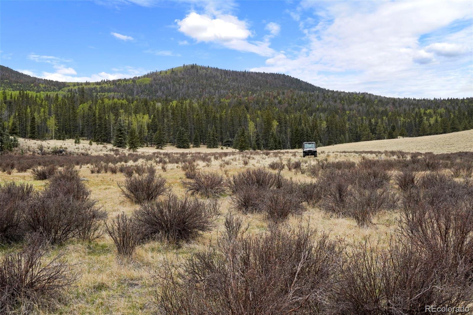 10801 County Road M-32 Del Norte CO 81132