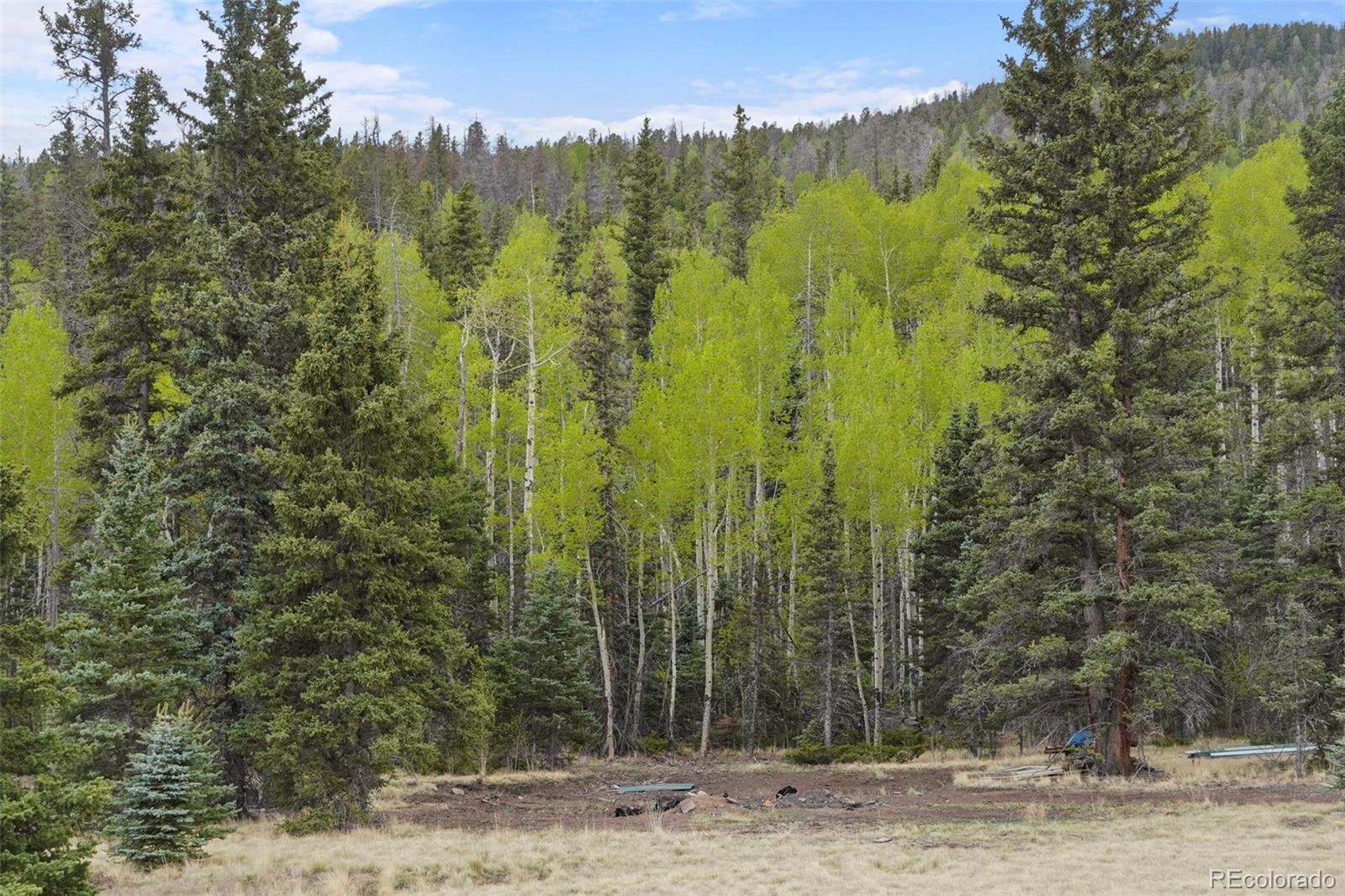 10801 County Road M-32 Del Norte CO 81132