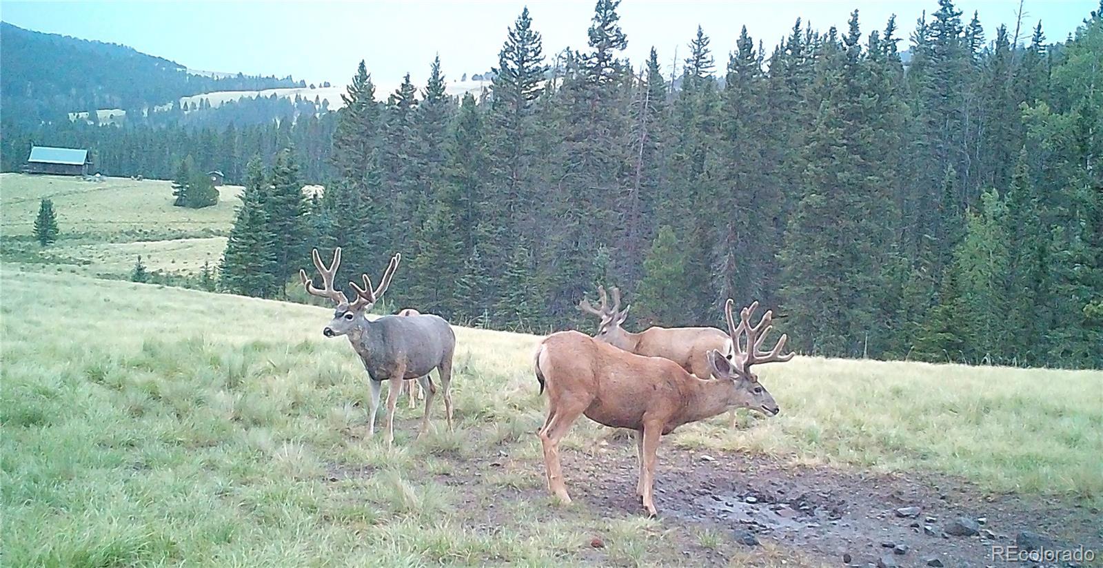 10801 County Road M-32 Del Norte CO 81132