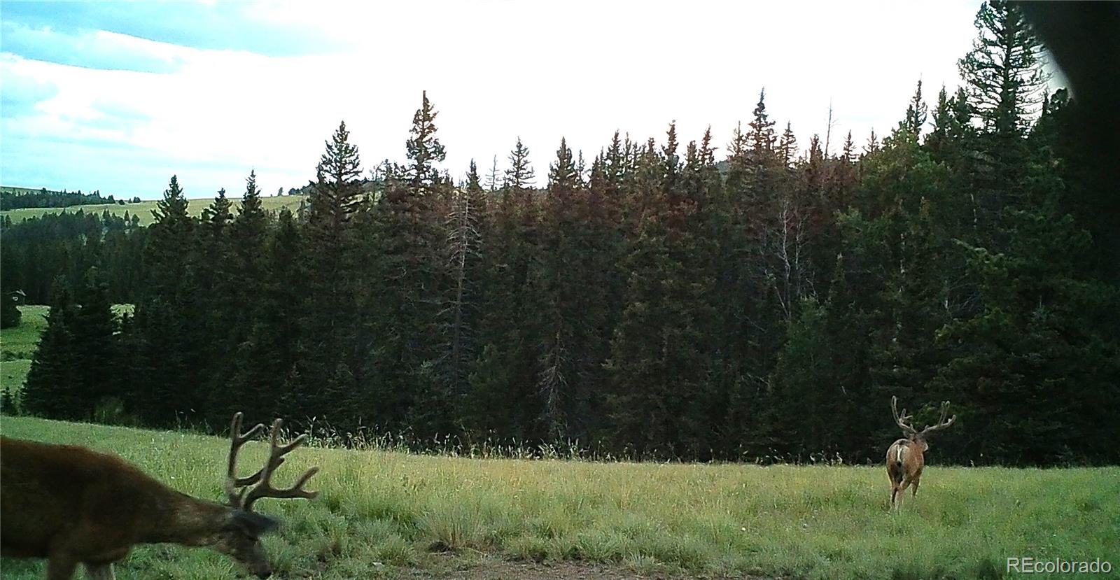 10801 County Road M-32 Del Norte CO 81132