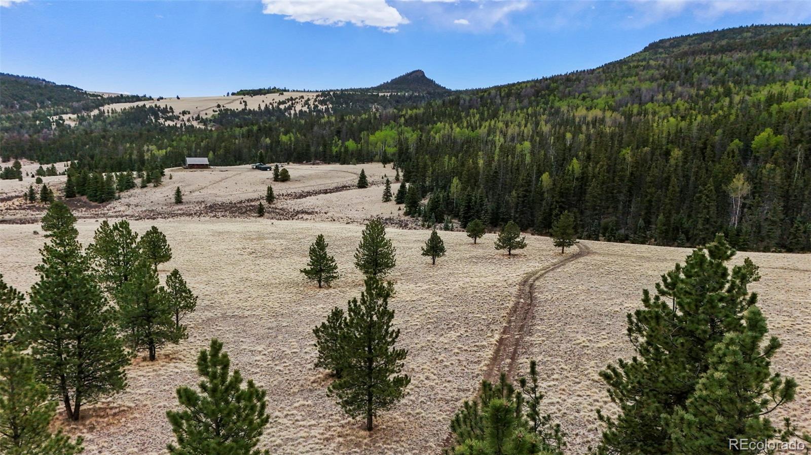 10801 County Road M-32 Del Norte CO 81132