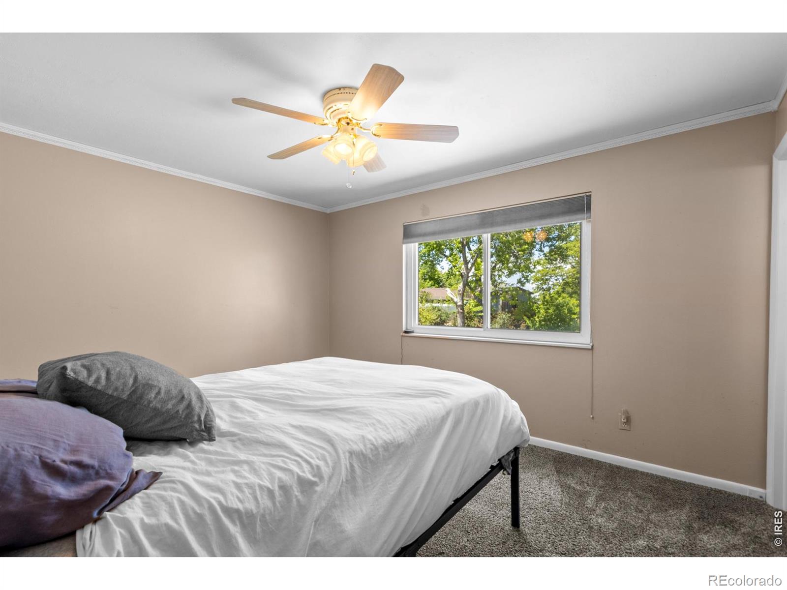 2821 W 24th Street Greeley CO 80634