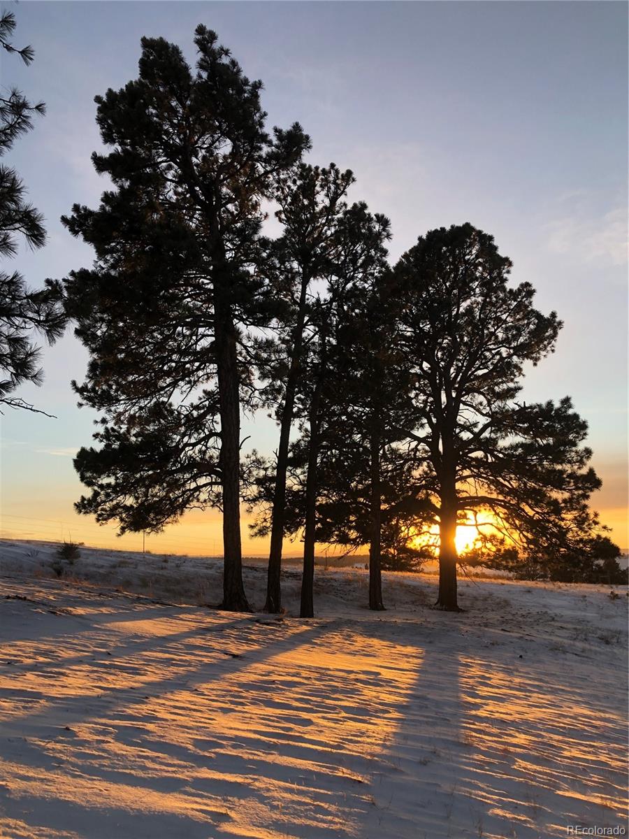 31885 Ridge Road Ramah CO 80832