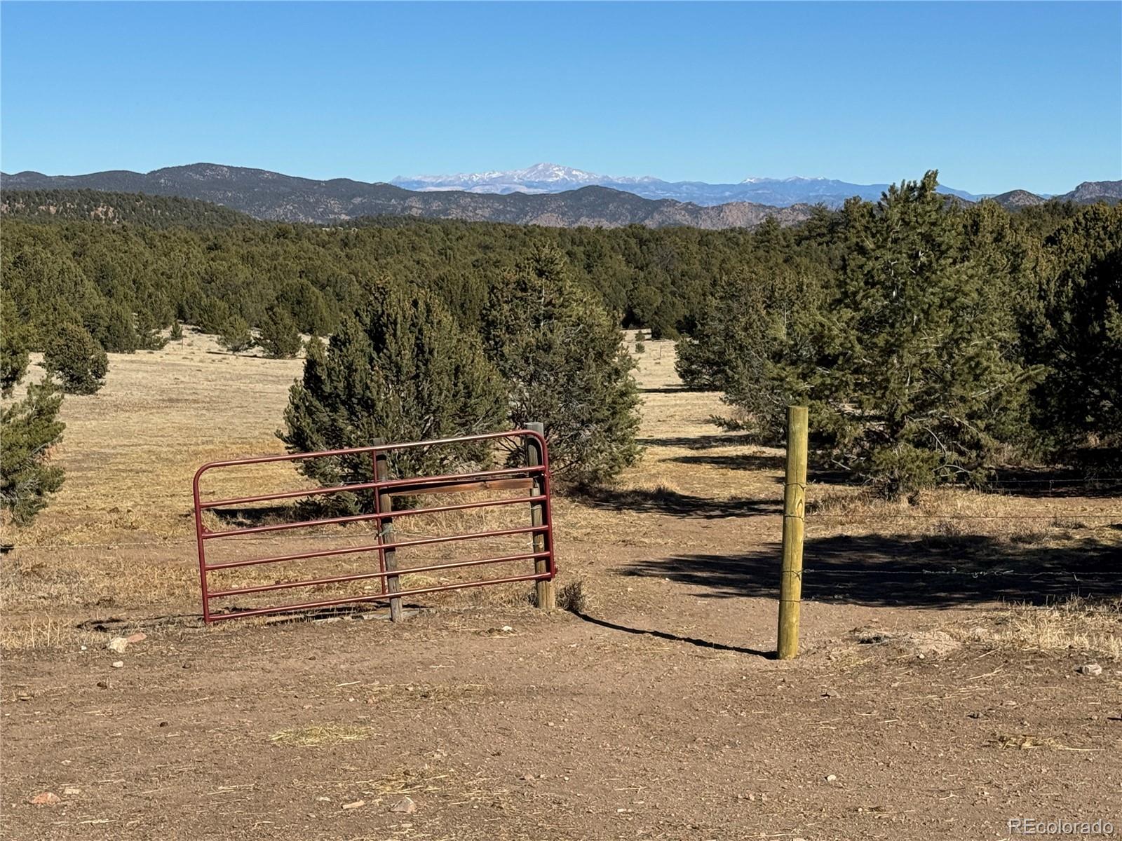620 Falling Rock Road Cotopaxi CO 81223