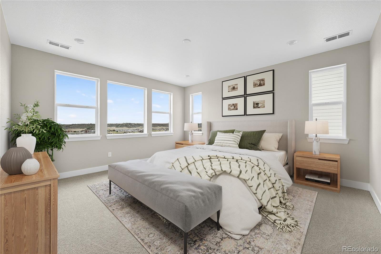 5582 Farrier Point Castle Rock CO 80104