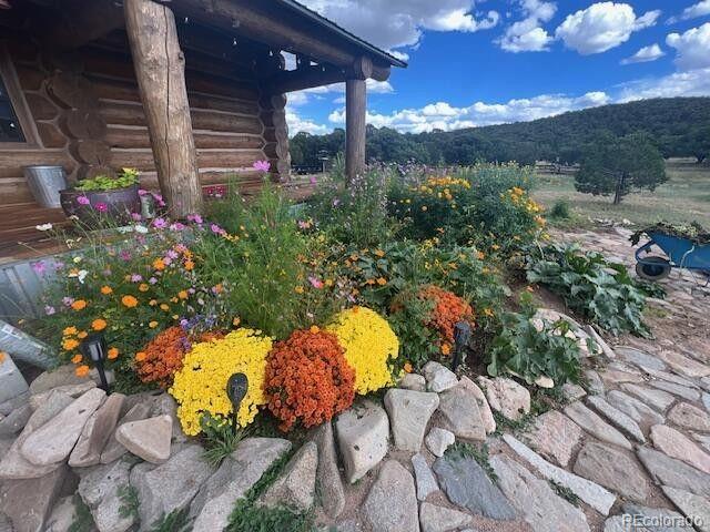 484 Gordon Drive Walsenburg CO 81089